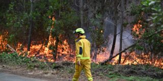 La Iglesia de Jesucristo de los Santos de los Últimos Días brinda ayuda a sus miembros y a los bomberos en medio de los incendios forestales en España y Francia Internacional 2026